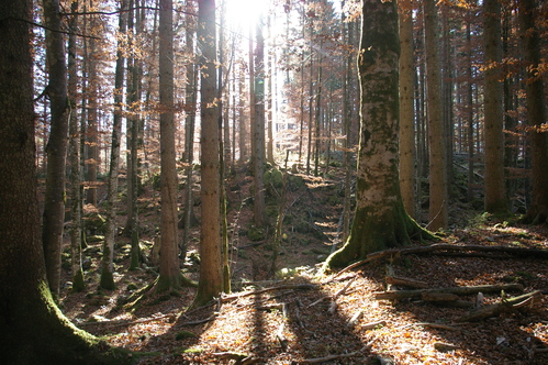 b0175255_17341561.jpg