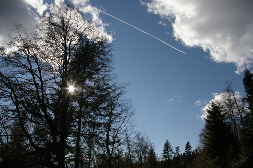 b0175255_17383795.jpg