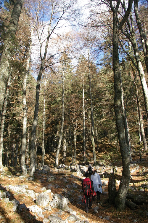 b0175255_1742810.jpg