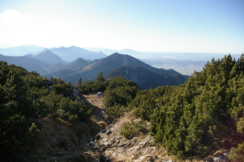 b0175255_17465366.jpg