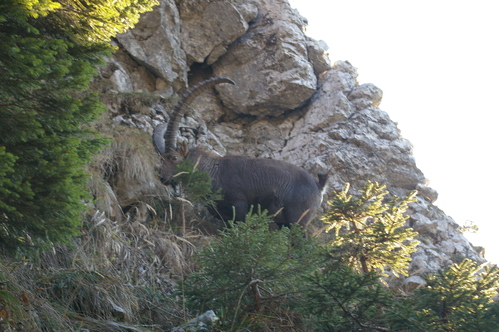 b0175255_1824621.jpg