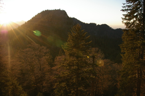 b0175255_1827249.jpg