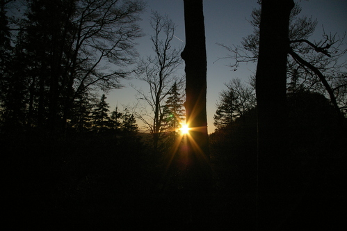 b0175255_1832399.jpg