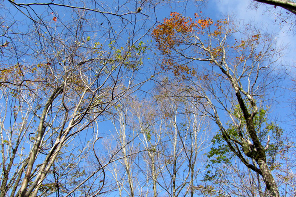 f0007956_16103635.jpg