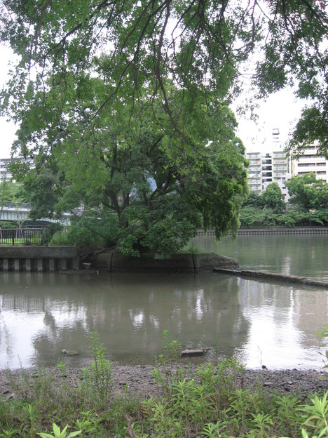 桜の宮・竜王宮2009年_a0129257_1625573.jpg