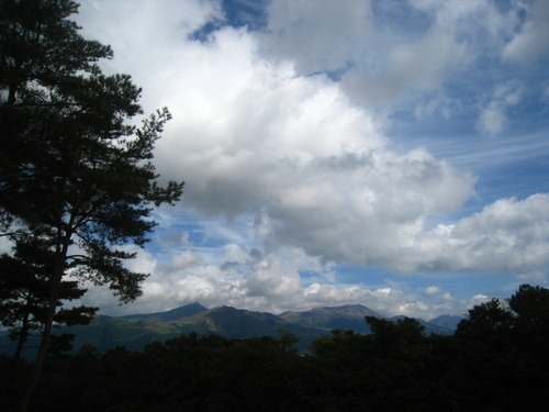 b0160957_13535711.jpg