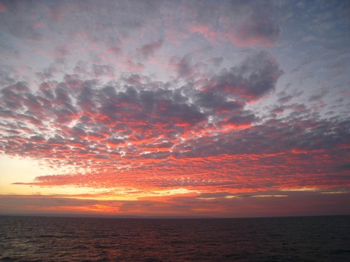 b0160957_1453366.jpg