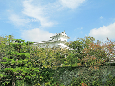 b0079661_1301019.jpg