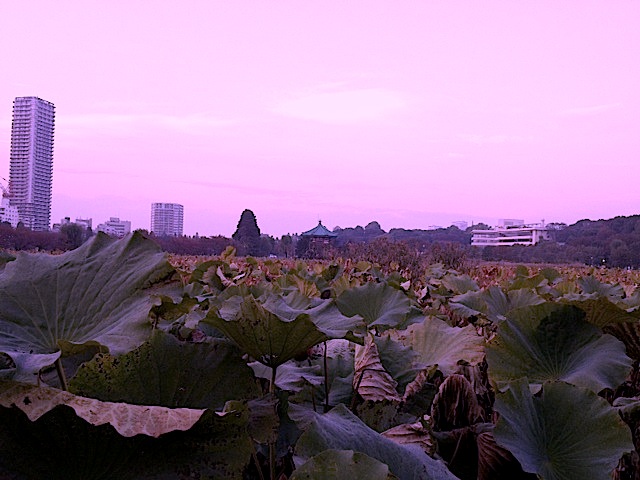 f0163561_2031669.jpg