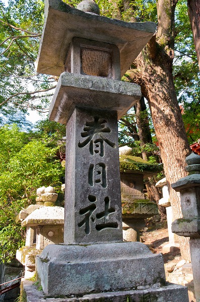e0209962_10559.jpg