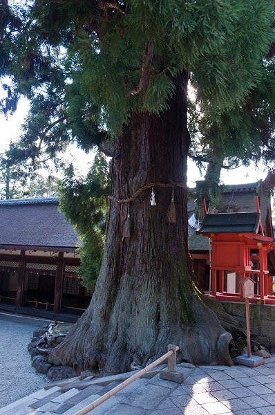 e0209962_19155.jpg
