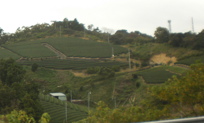 a0053063_23272043.jpg