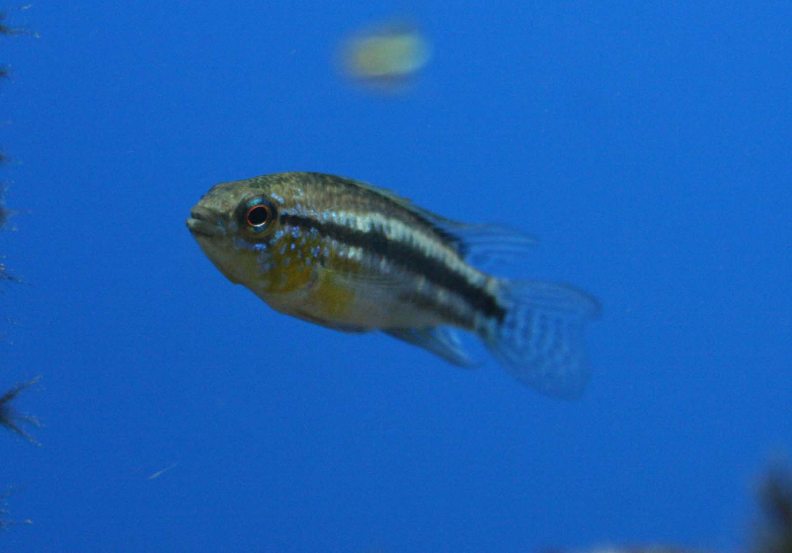 a0162263_20421368.jpg