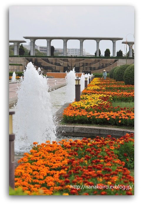 海の中道海浜公園の花々・2_e0153963_18374622.jpg