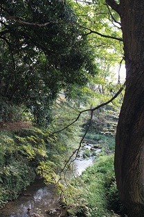c0141268_19195788.jpg