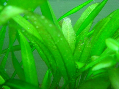 b0022570_05049.jpg