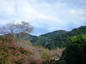 a0219573_939093.jpg