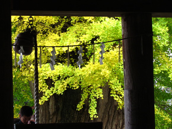 新宮熊野神社長床　喜多方市_a0223677_22575850.jpg