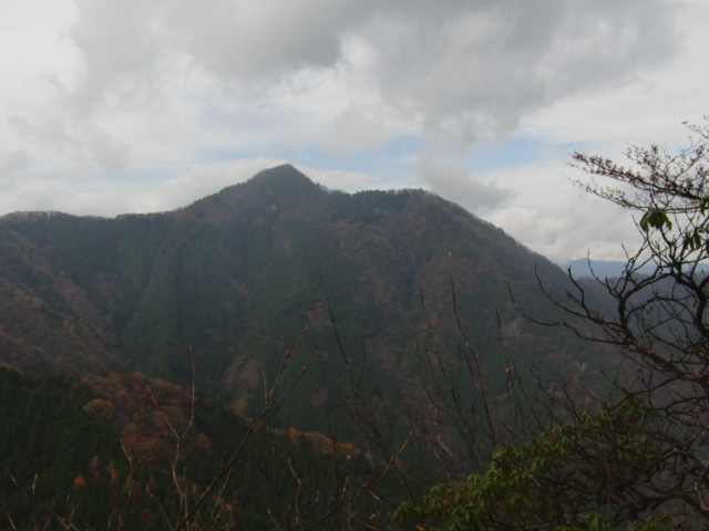 そんでもって馬頭刈尾根_c0206177_1772076.jpg