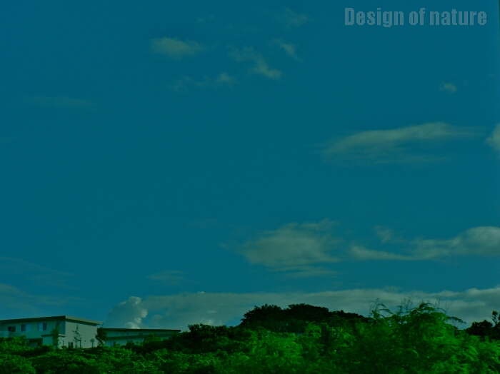 a0204681_11164196.jpg