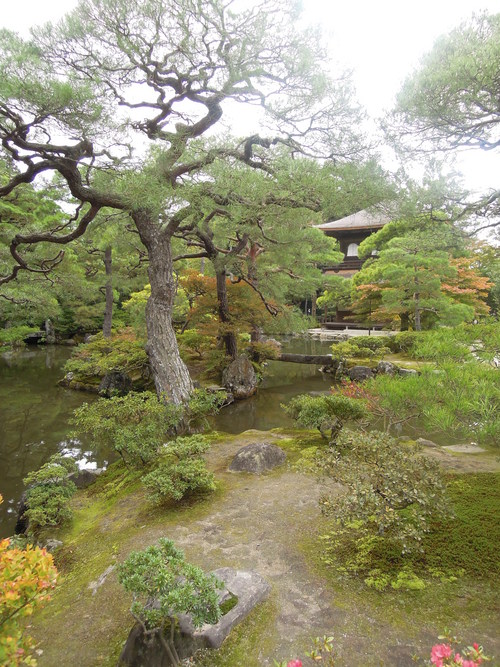 京都と大阪へ_d0195183_19243125.jpg