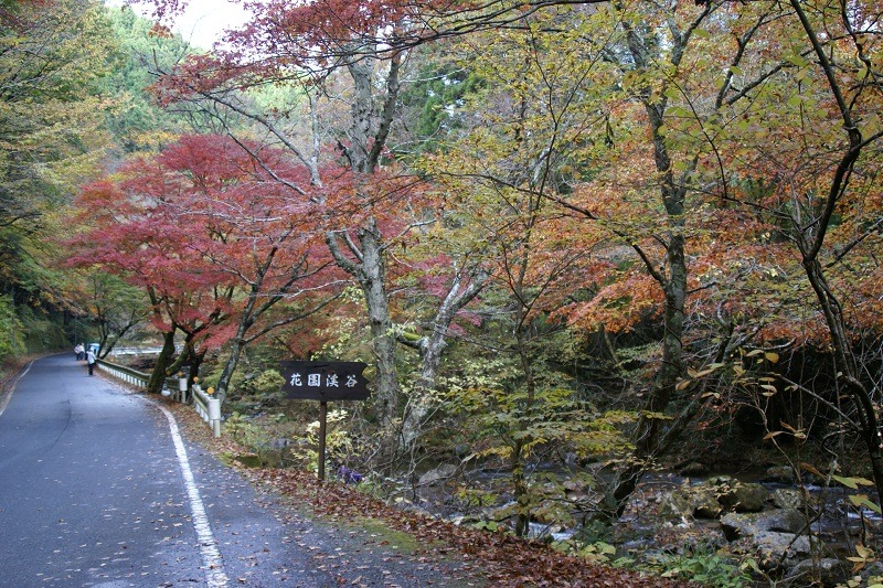 花園渓谷紅葉の鮮やかさ　北茨城市　_b0183886_6283571.jpg