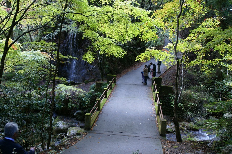 花園渓谷紅葉の鮮やかさ 北茨城市 新れいな日記 花園渓谷紅葉の鮮やかさ 北茨城市 新れいな日記