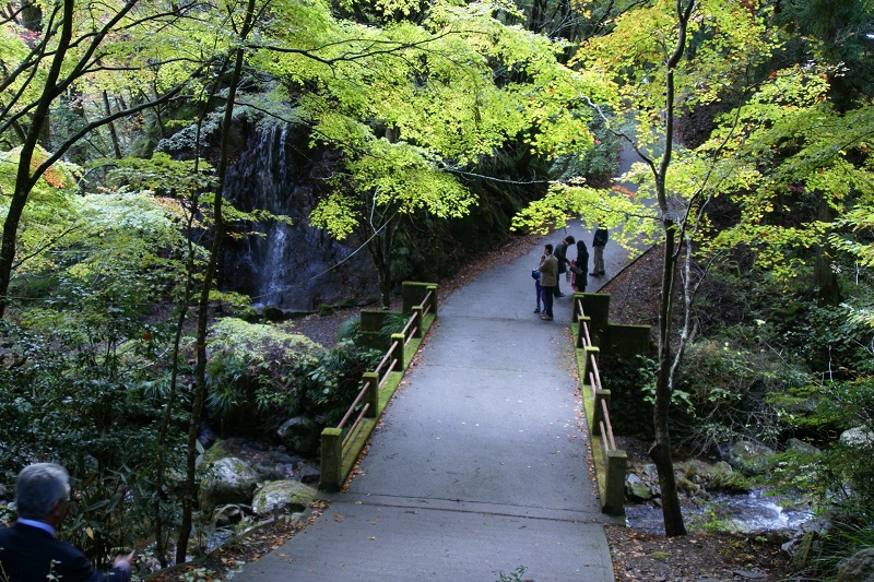 花園渓谷紅葉の鮮やかさ　北茨城市　_b0183886_6321422.jpg