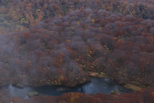 鳥海山麓の紅葉_b0189486_2092992.jpg