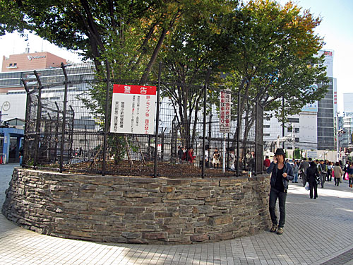 a0188487_1253696.jpg