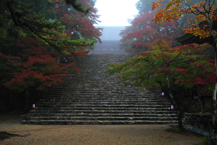 神護寺_e0051888_22511524.jpg