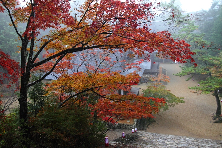 神護寺_e0051888_22523217.jpg