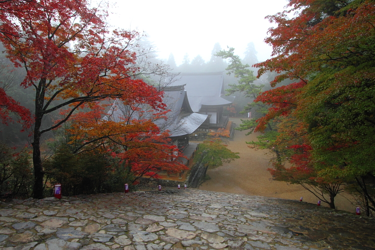 神護寺_e0051888_22531749.jpg