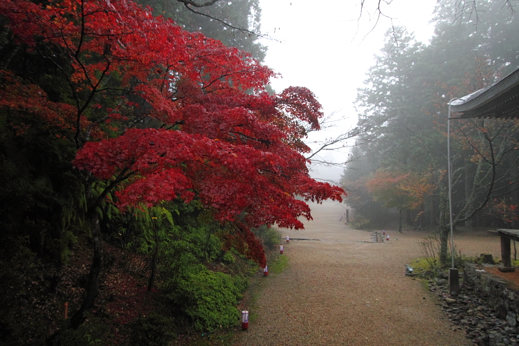 神護寺_e0051888_22542317.jpg