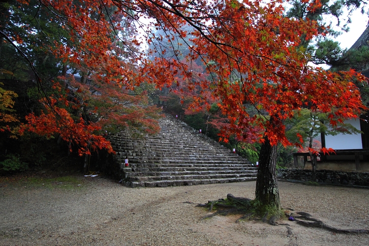 神護寺_e0051888_22544281.jpg