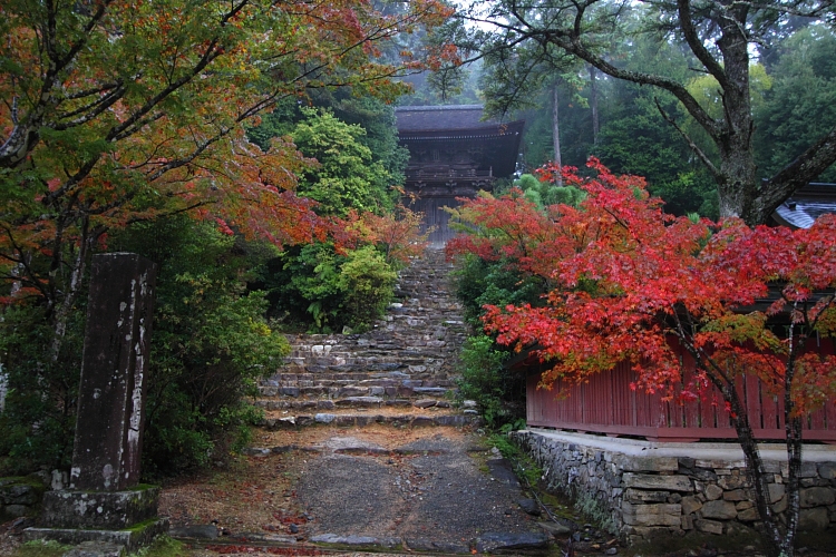 神護寺_e0051888_2255670.jpg