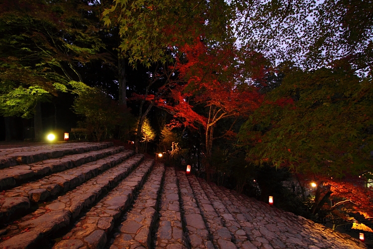 神護寺_e0051888_22581185.jpg