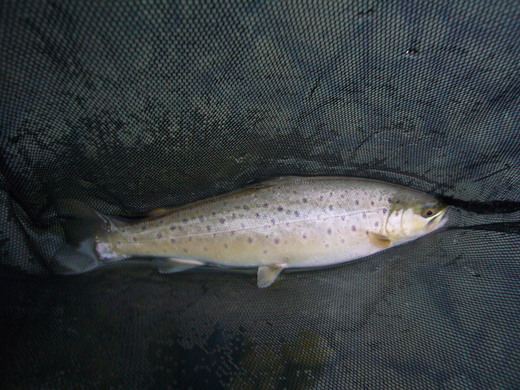 a0118989_21201431.jpg