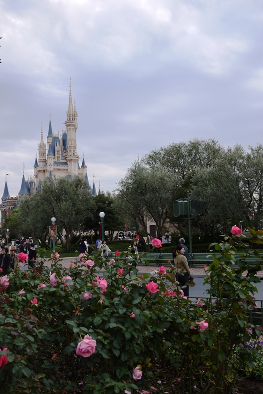 Tokyo Disneyland ~キャラクター&アトラクション編~_a0127090_17361377.jpg