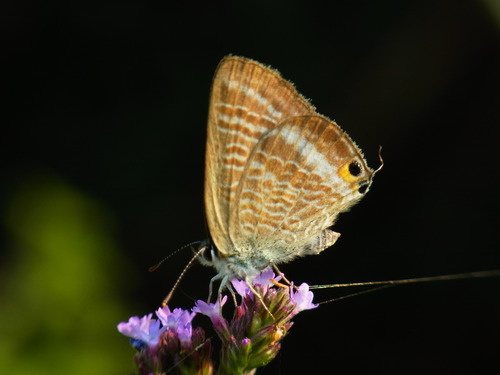 a0214490_17521425.jpg
