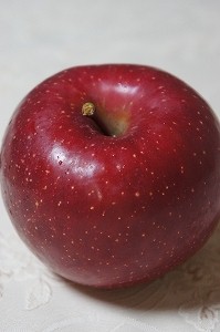 e0206490_22344412.jpg