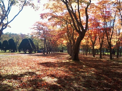 c0205393_2037663.jpg