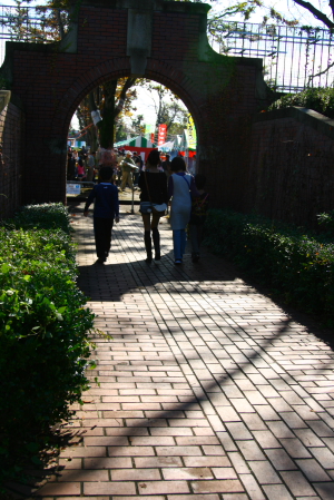 d0133693_0906.jpg