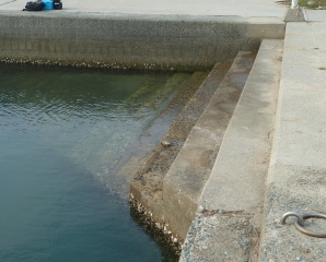 f0166694_2253261.jpg