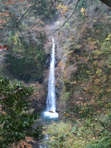 大山トレイルラン[2011.11.13]_d0242696_23543362.jpg