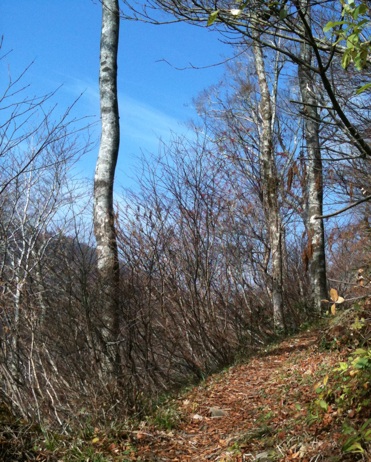 d0242696_23552137.jpg