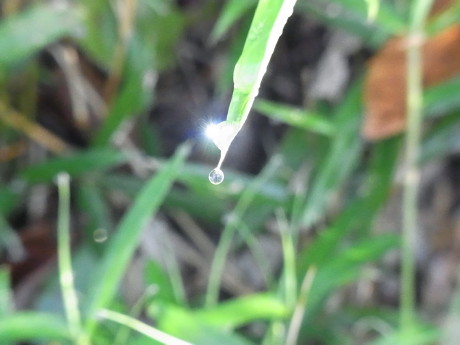 雨上がりの朝♪_b0105897_0574179.jpg