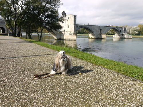 c0090198_3193546.jpg
