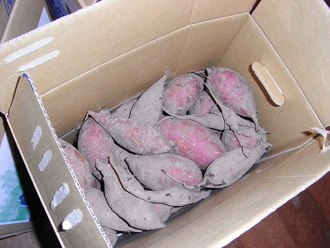 f0187402_2042021.jpg