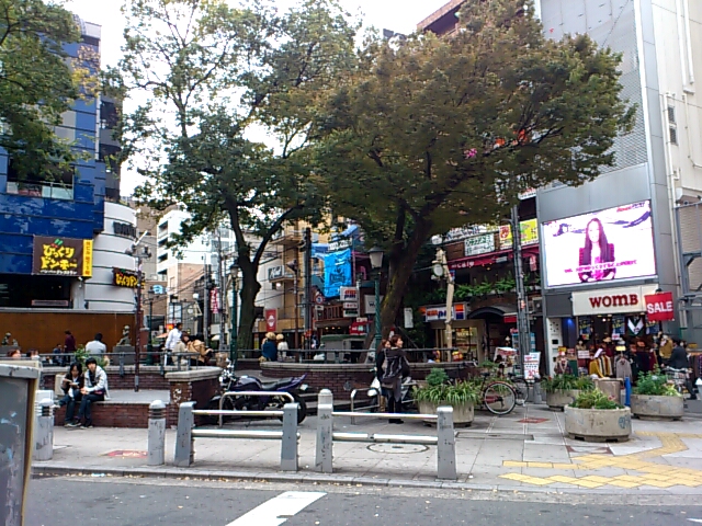 f0221204_104018.jpg